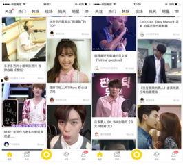 韩娱资讯最新爆料新闻直播,最新爆料揭秘明星幕后故事，直播现场直击热点事件！”